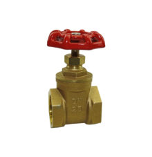 Socket gate valve