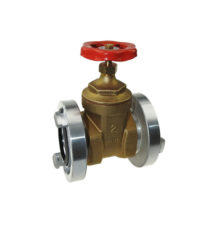 Gate valve with storz couplings