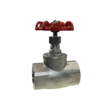 Globe valve made of stainless steel