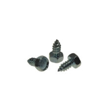 Screw for hose fastening